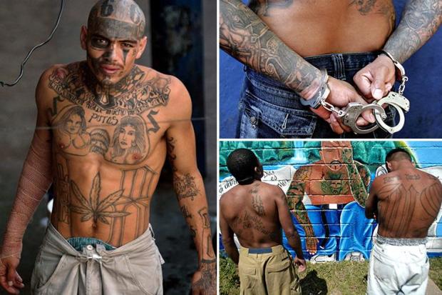 ms 13 in australia