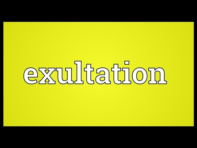 exultation definition