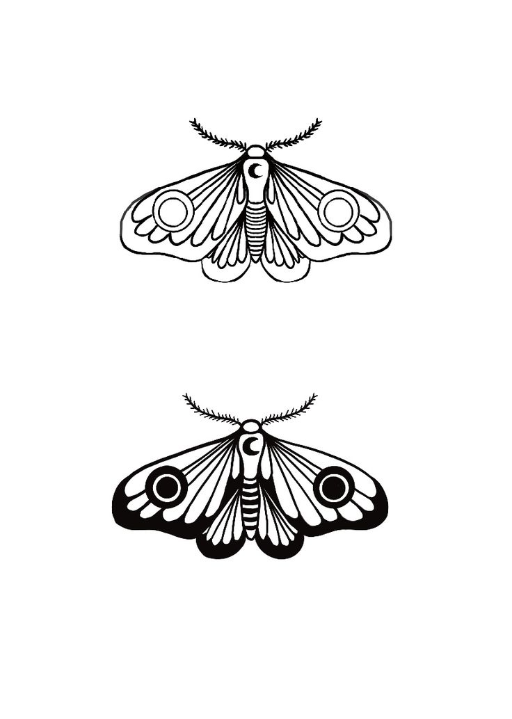 simple moth tattoo