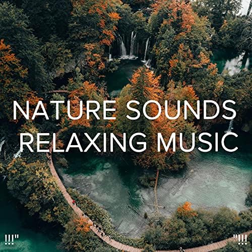 relaxing music and nature sounds