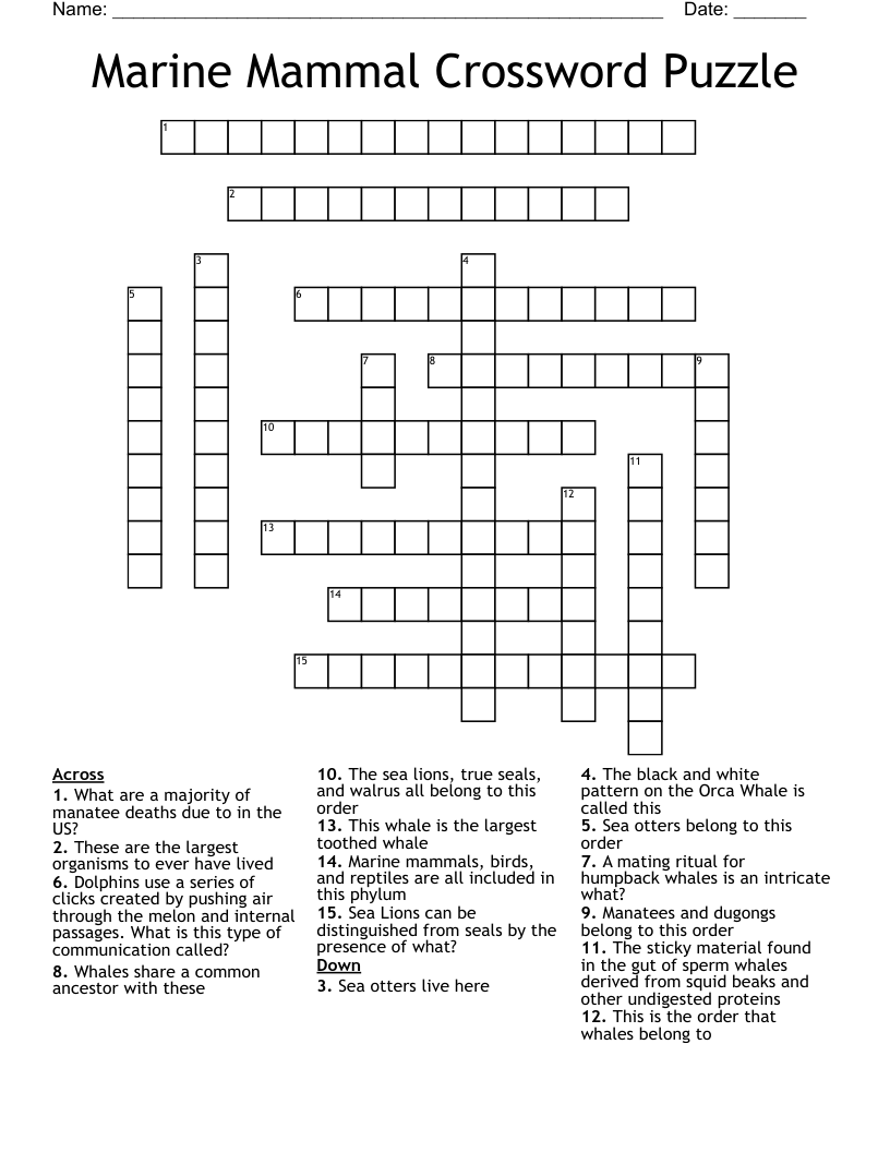 mammal type crossword clue