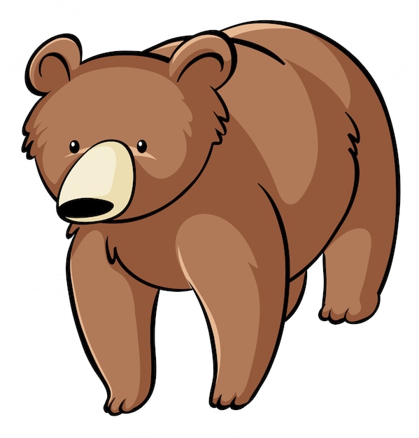 bear clip art images