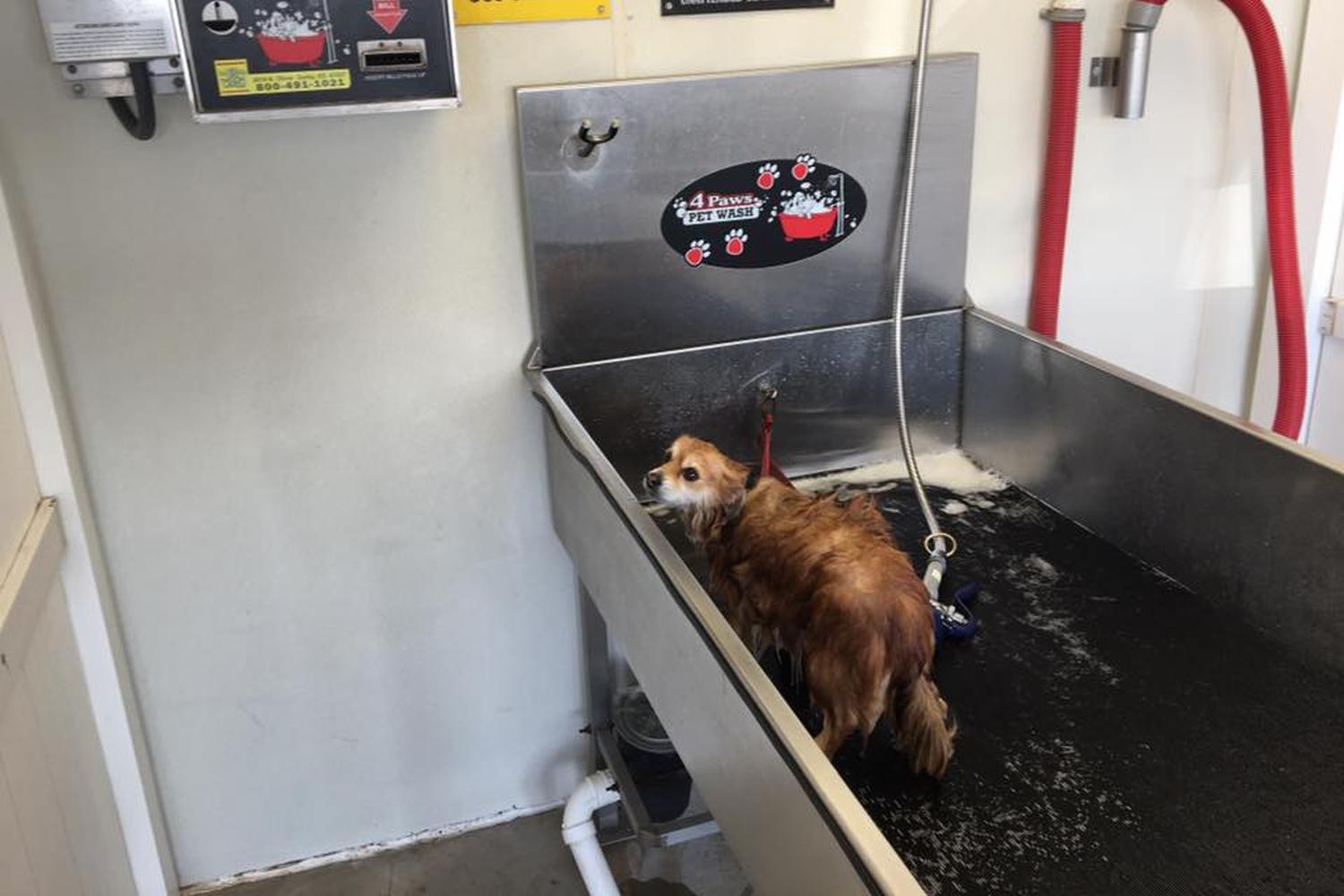 dog wash wichita ks douglas