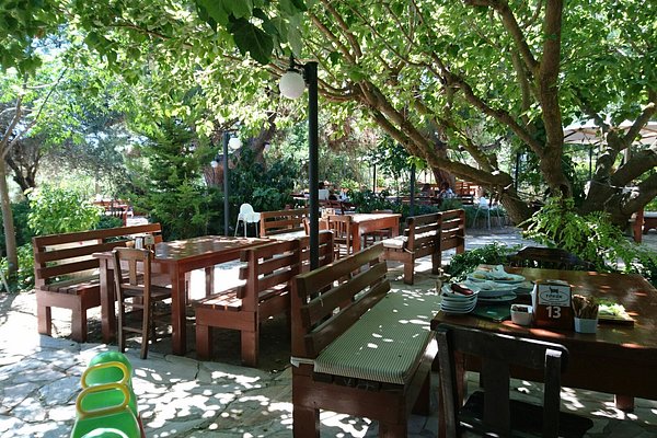 maşa restaurant seferihisar