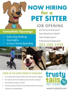 dog boarding jobs