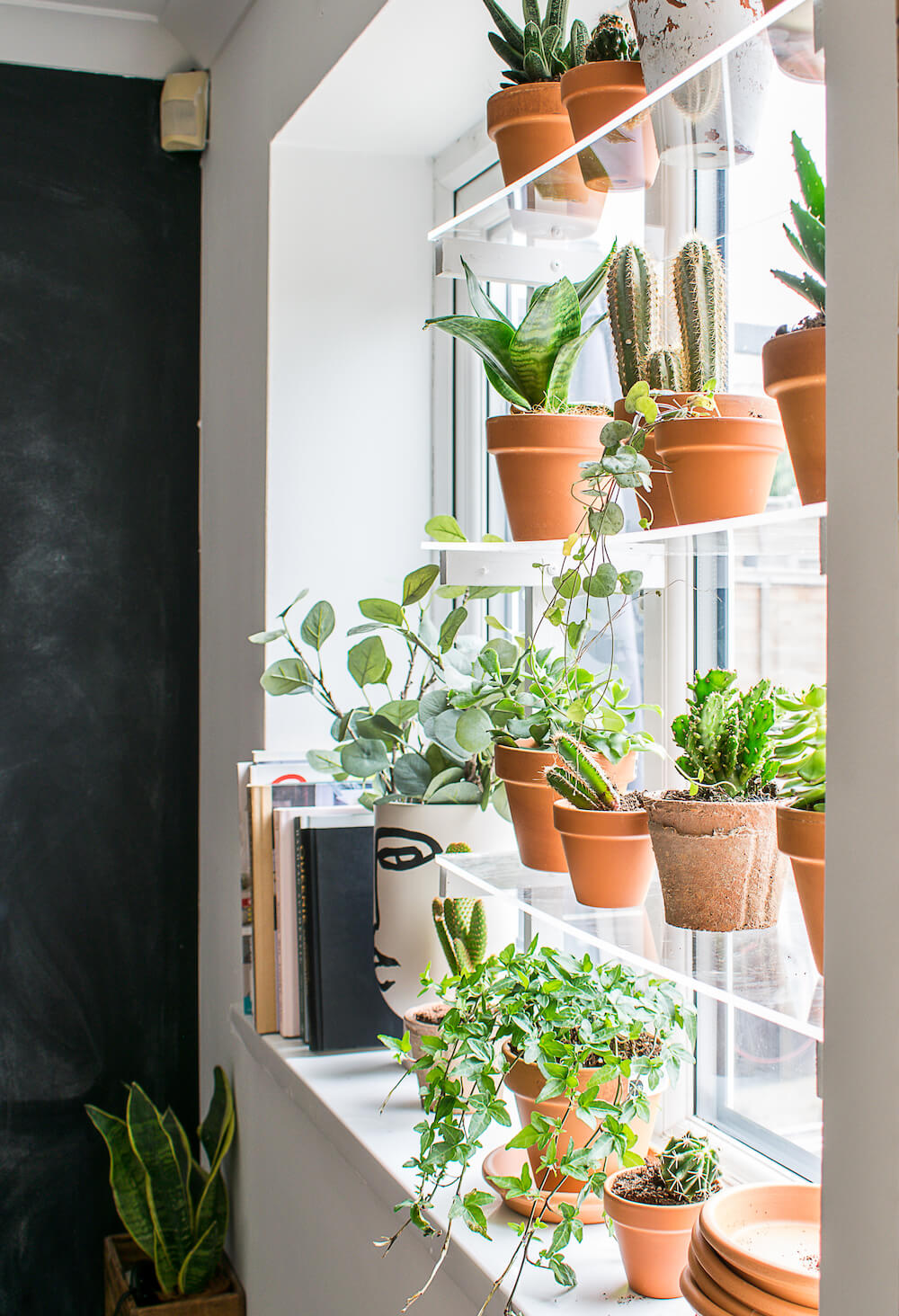 diy window plant shelf