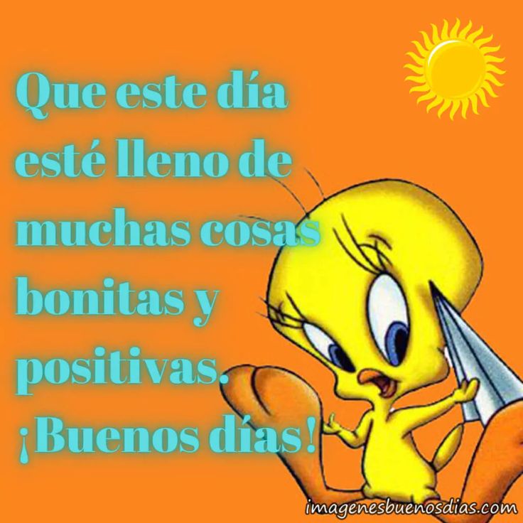 buenos dias piolin