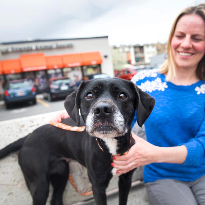 best friends animal society salt lake city adoption