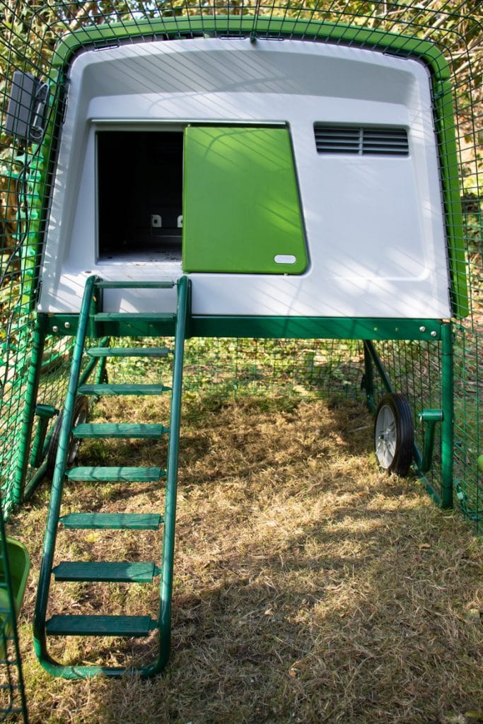 eglu cube chicken coop