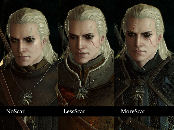 nexus mods witcher 3