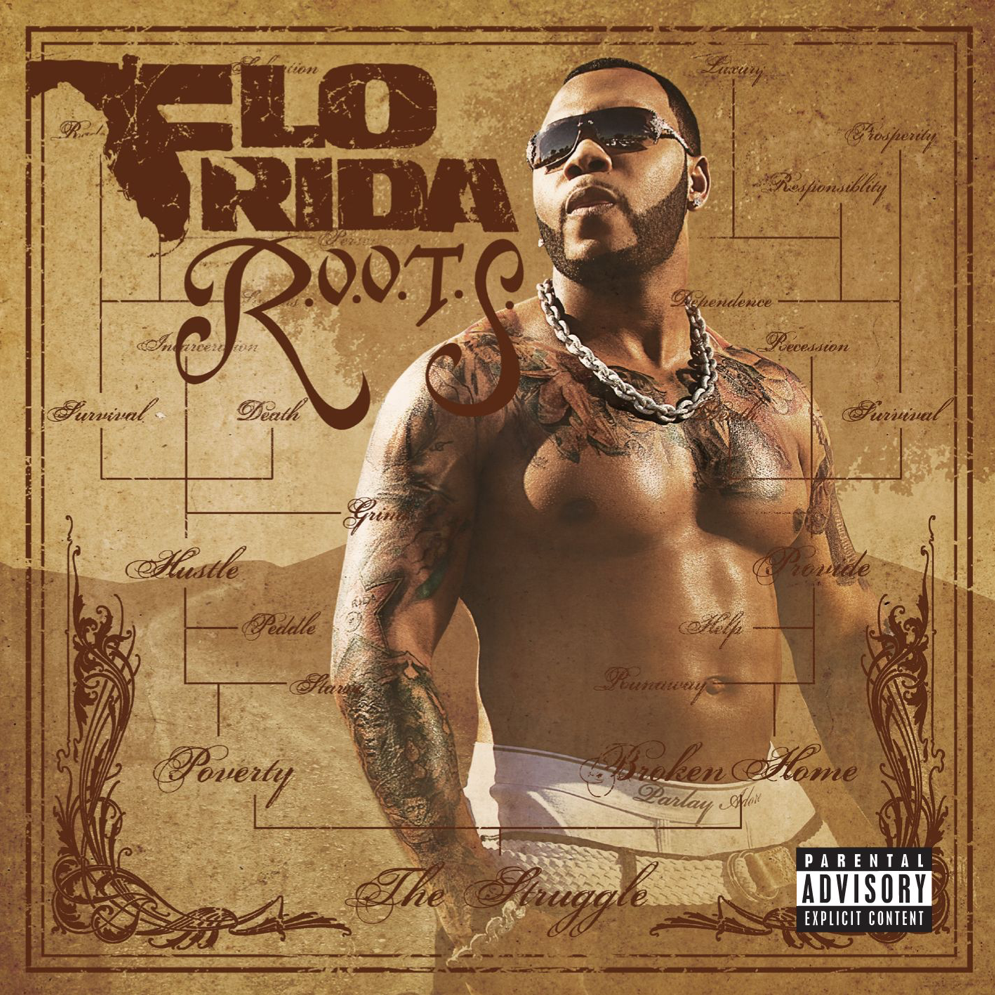 you spin me round lyrics flo rida