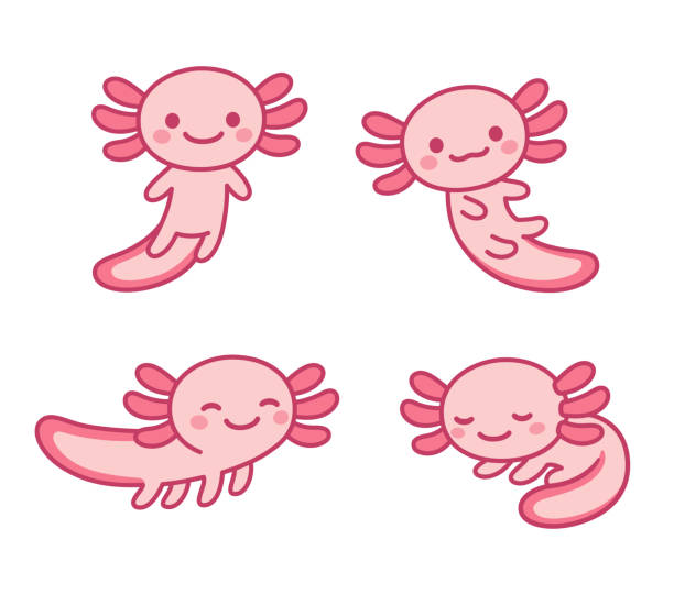 axolotl cartoon