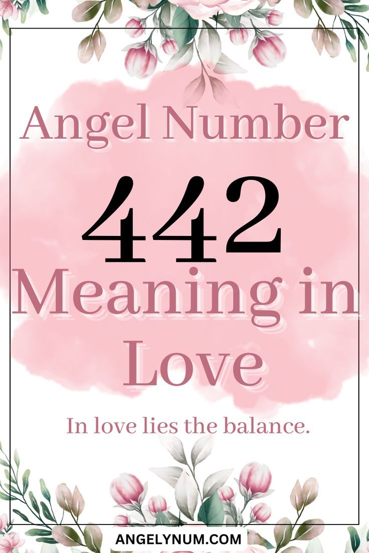 442 angel number