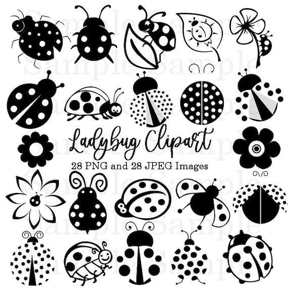 ladybug blanco y negro