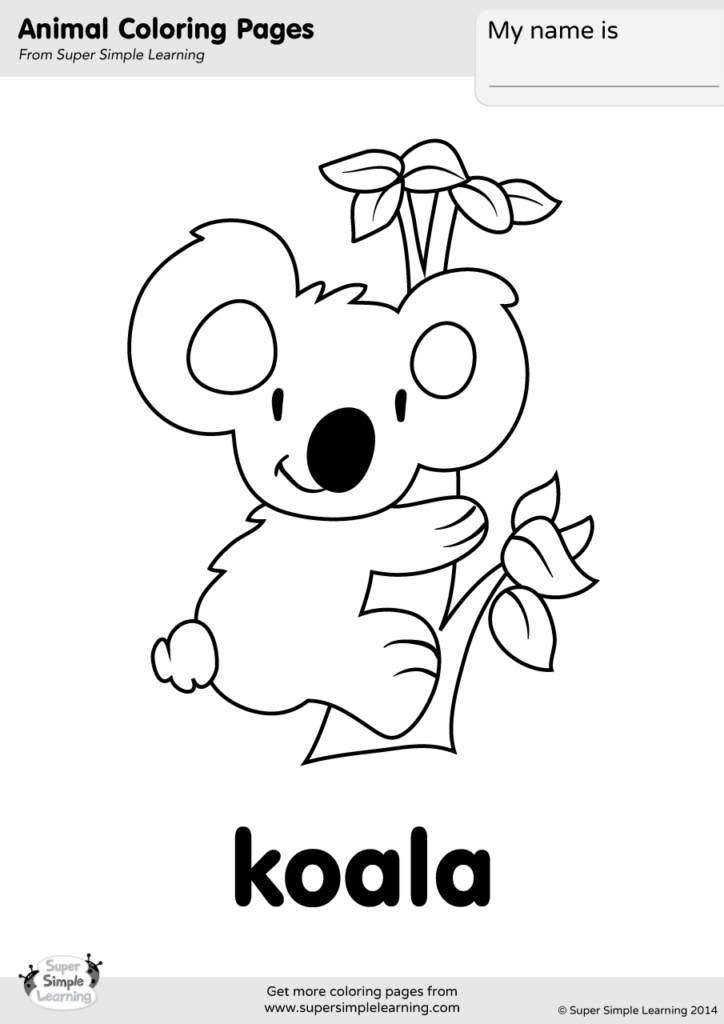 koala coloring pages