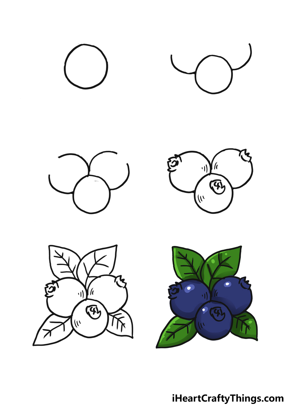 drawn blueberry