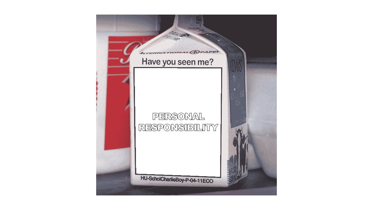 missing milk carton generator