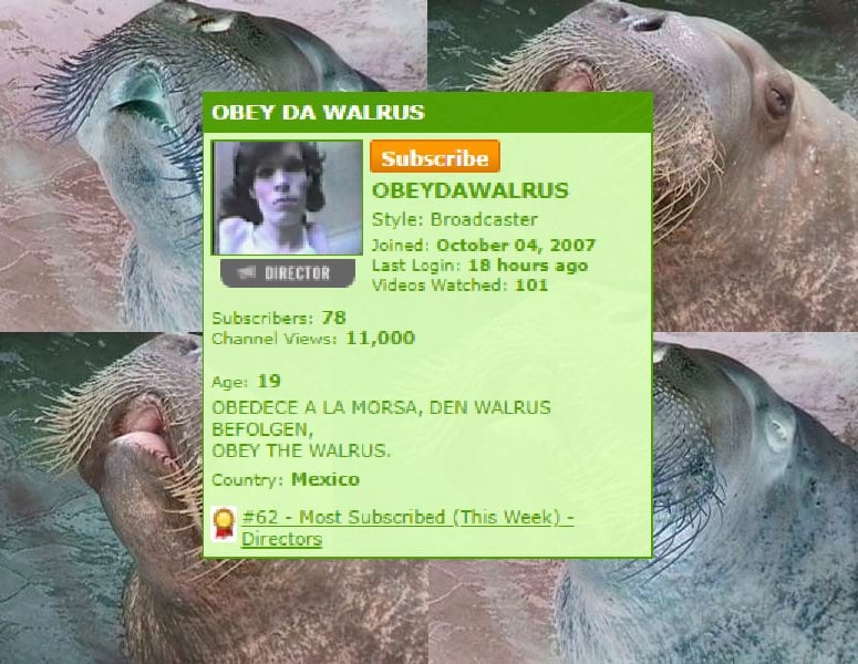 obey the walrus story
