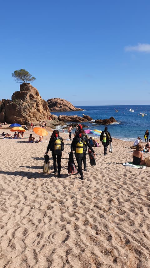 open water tossa de mar