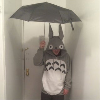 totoro costume