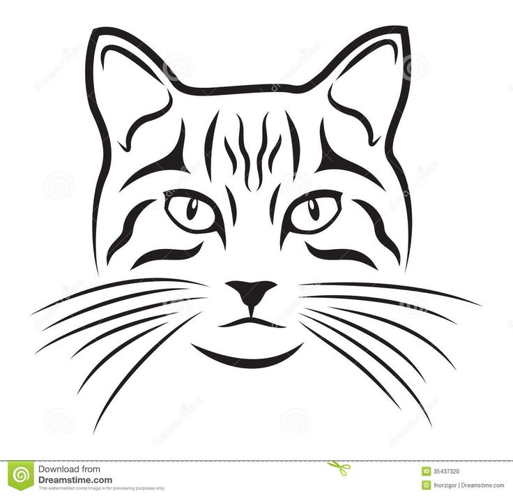 cat face line art