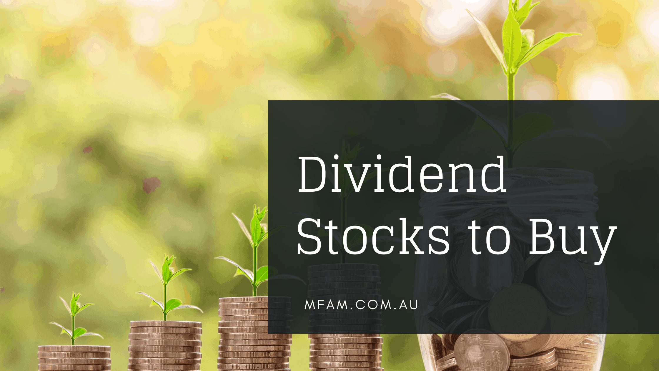 best dividend stocks on asx