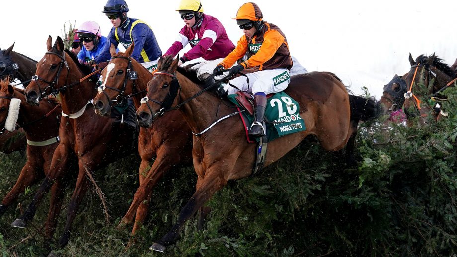 top tips grand national