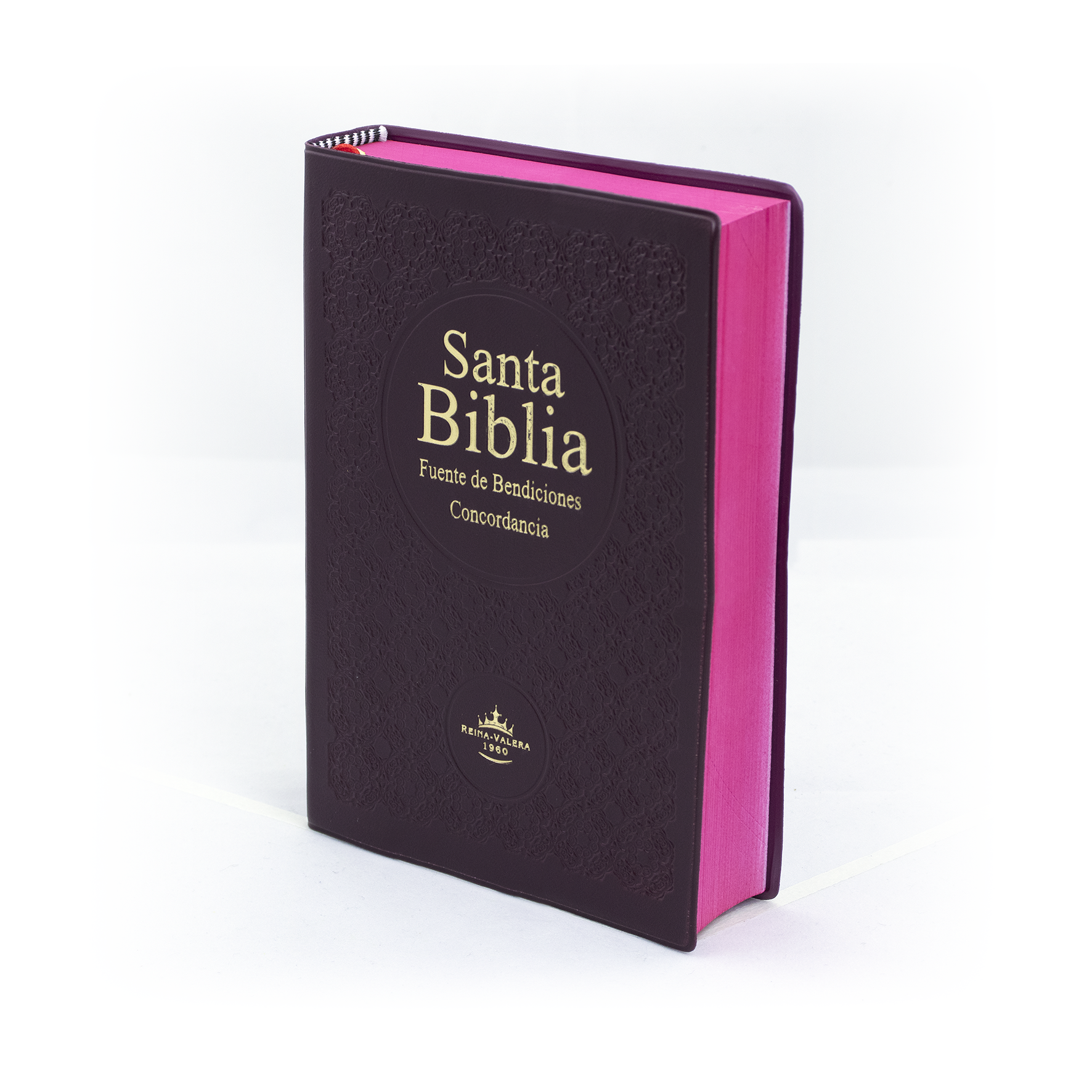 biblia reina valera 1960 version actual