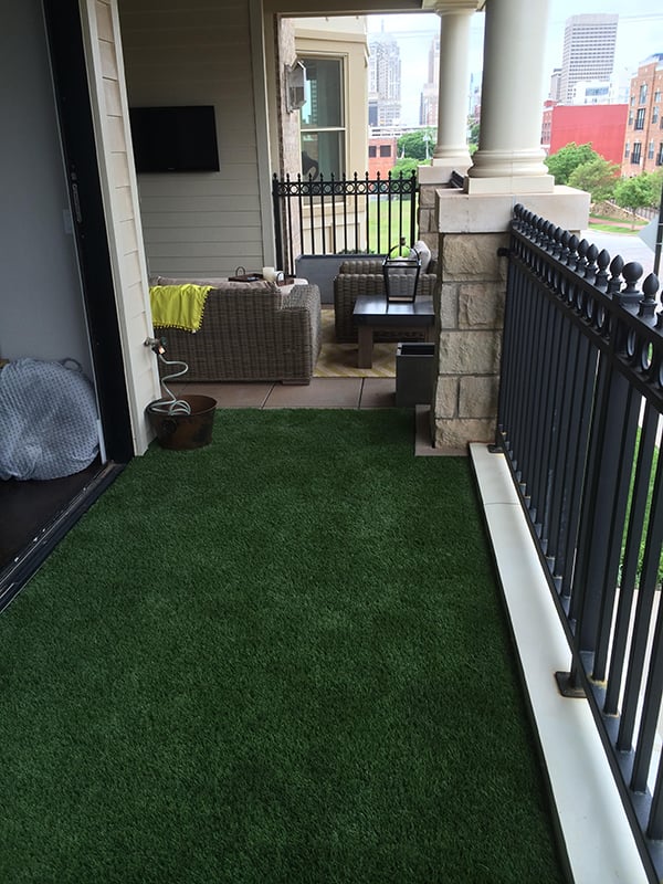 grass for dogs balcony