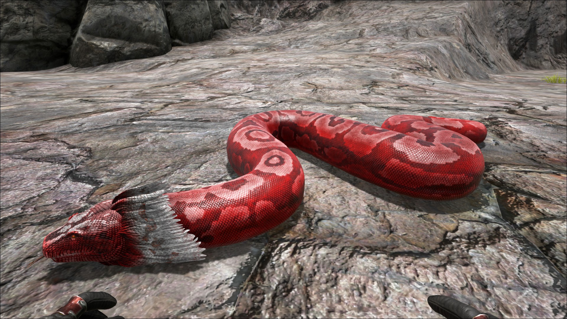 ark survival evolved titanoboa