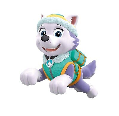 everest paw patrol