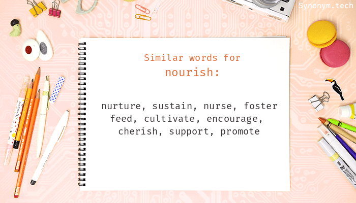 nourish synonym