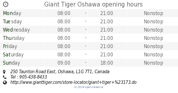 giant tiger oshawa hours