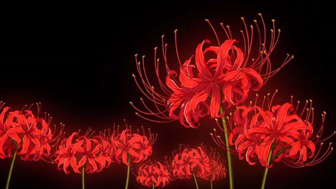 red spider lily meaning