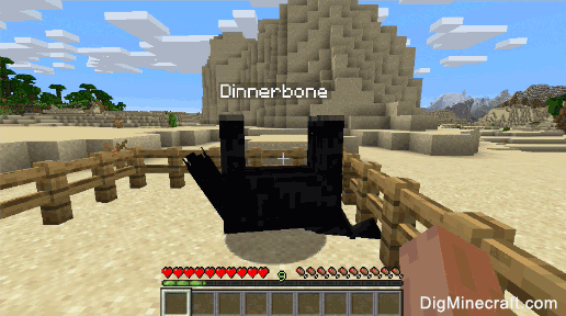 dinnerbone in minecraft