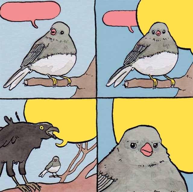 crow meme