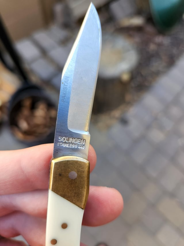 bear hunter solingen stainless 440