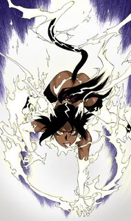 yoruichi cat