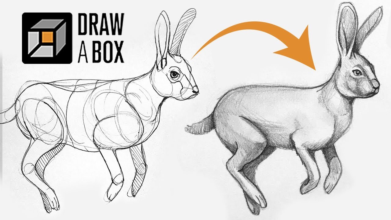 drawabox