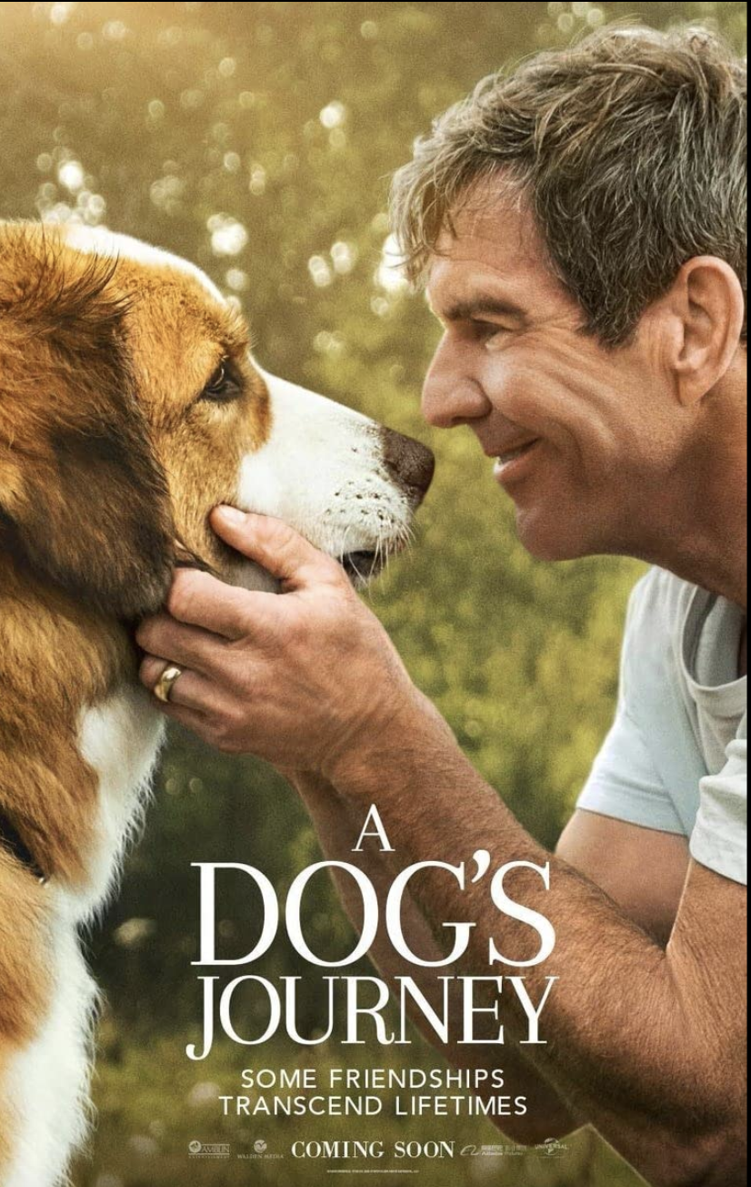 dogporn movies