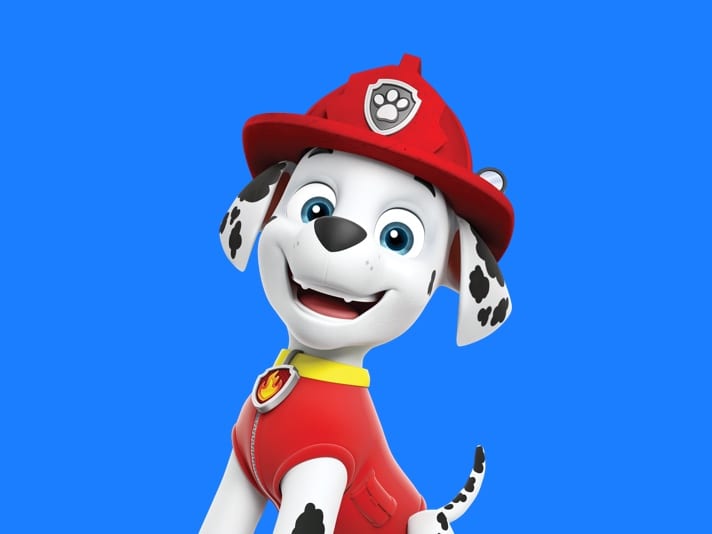 dalmatian paw patrol