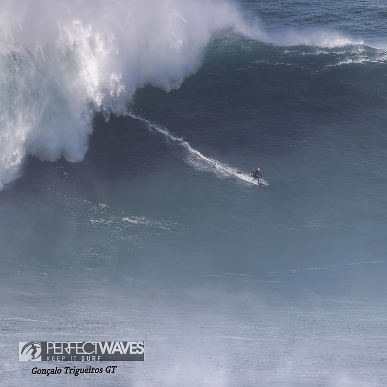 nazare surf report