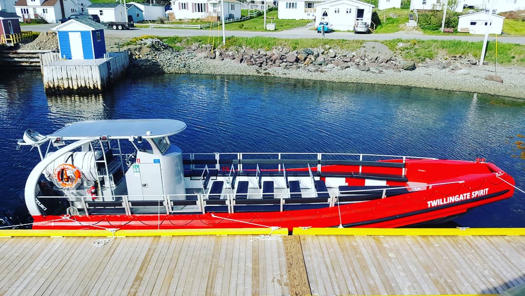 boat tours twillingate