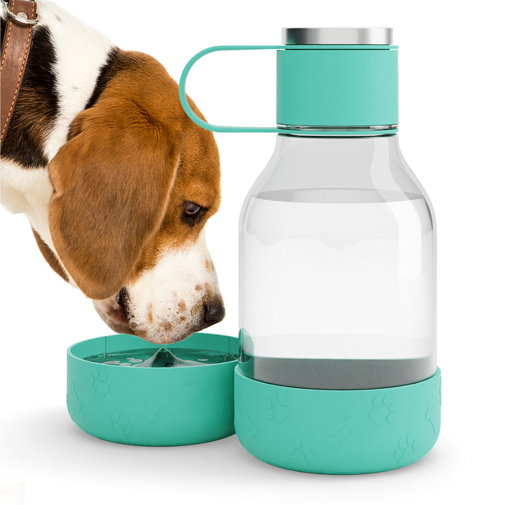 dog water feeder bottle