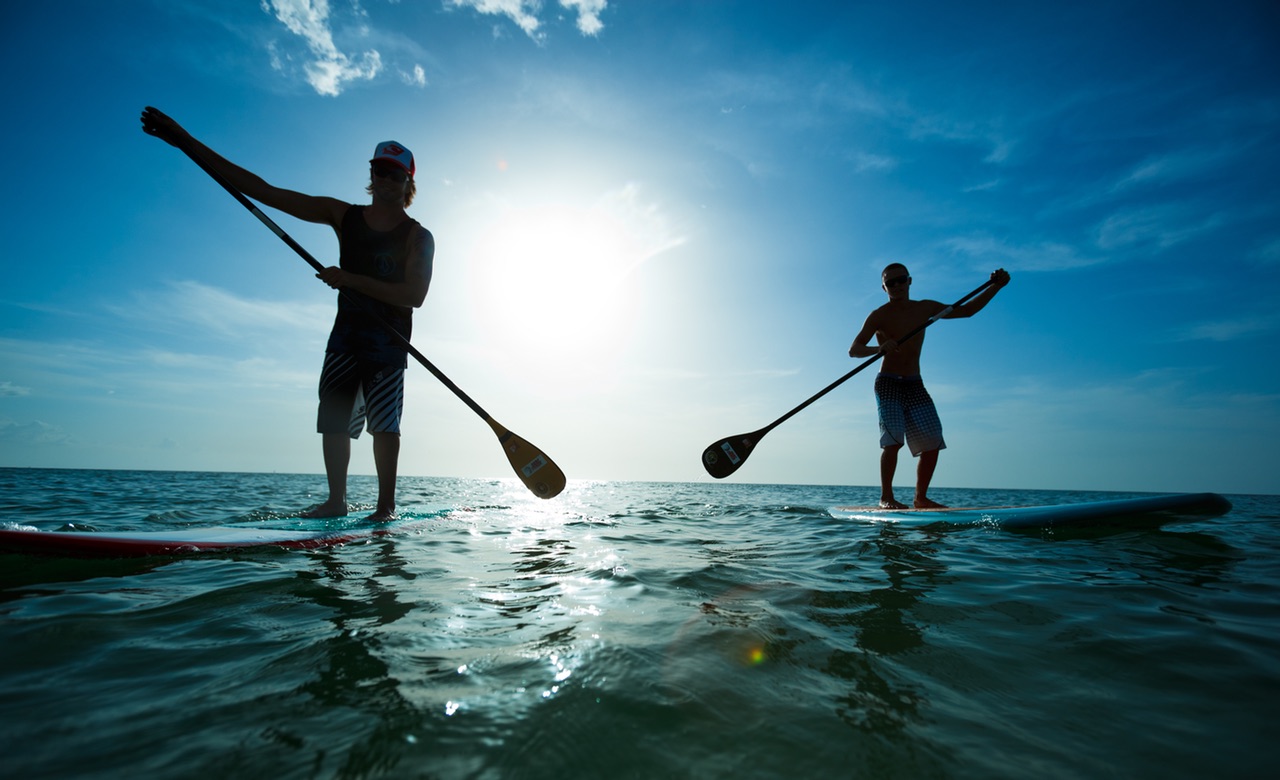 whatsapp watsons bay stand up paddling