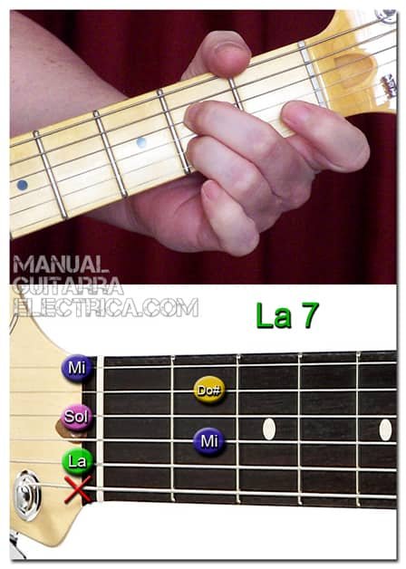 la7 guitarra