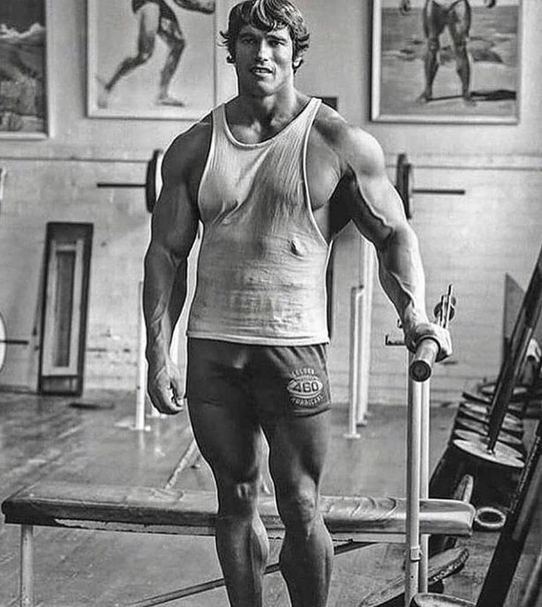 arnold schwarzenegger ig