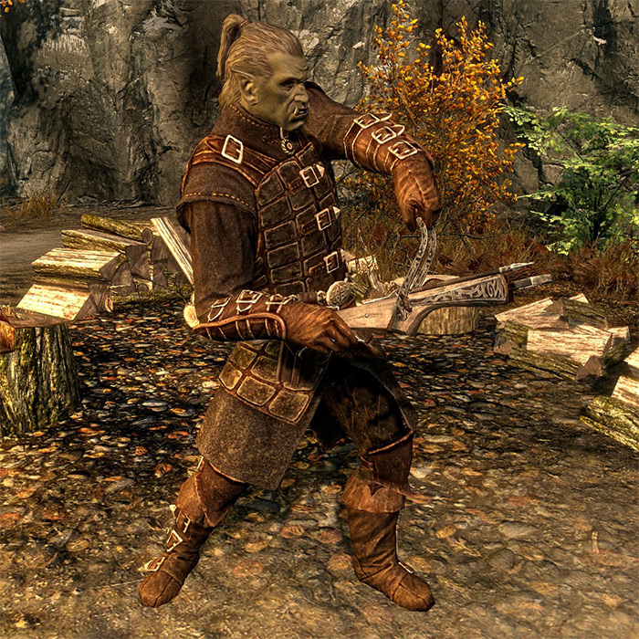 where to find a steward in skyrim