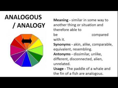 analogous synonym