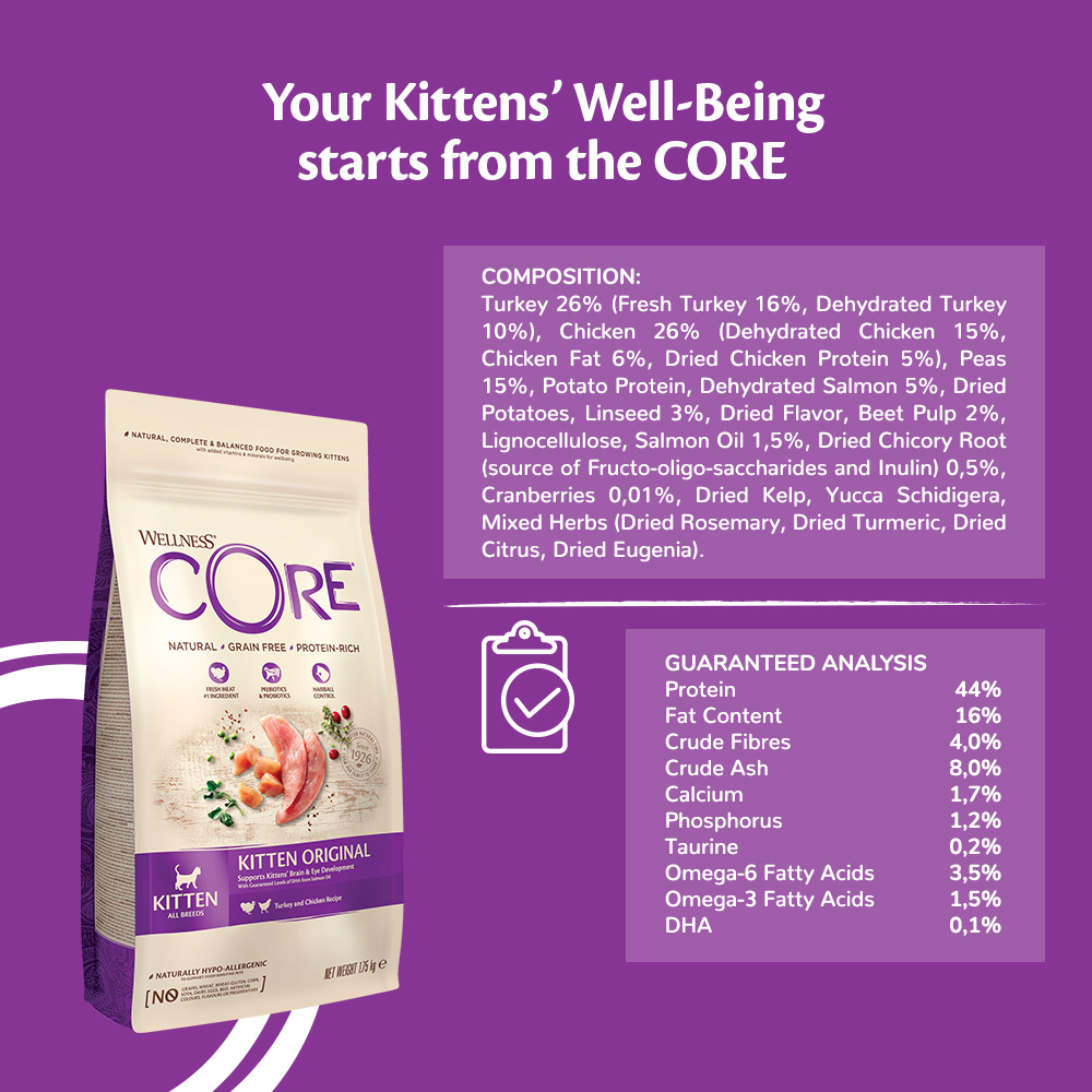 wellness core kitten food